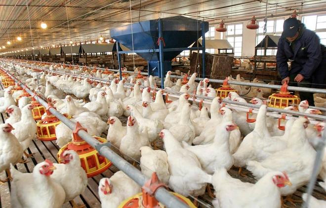 ultrasonic welding machine